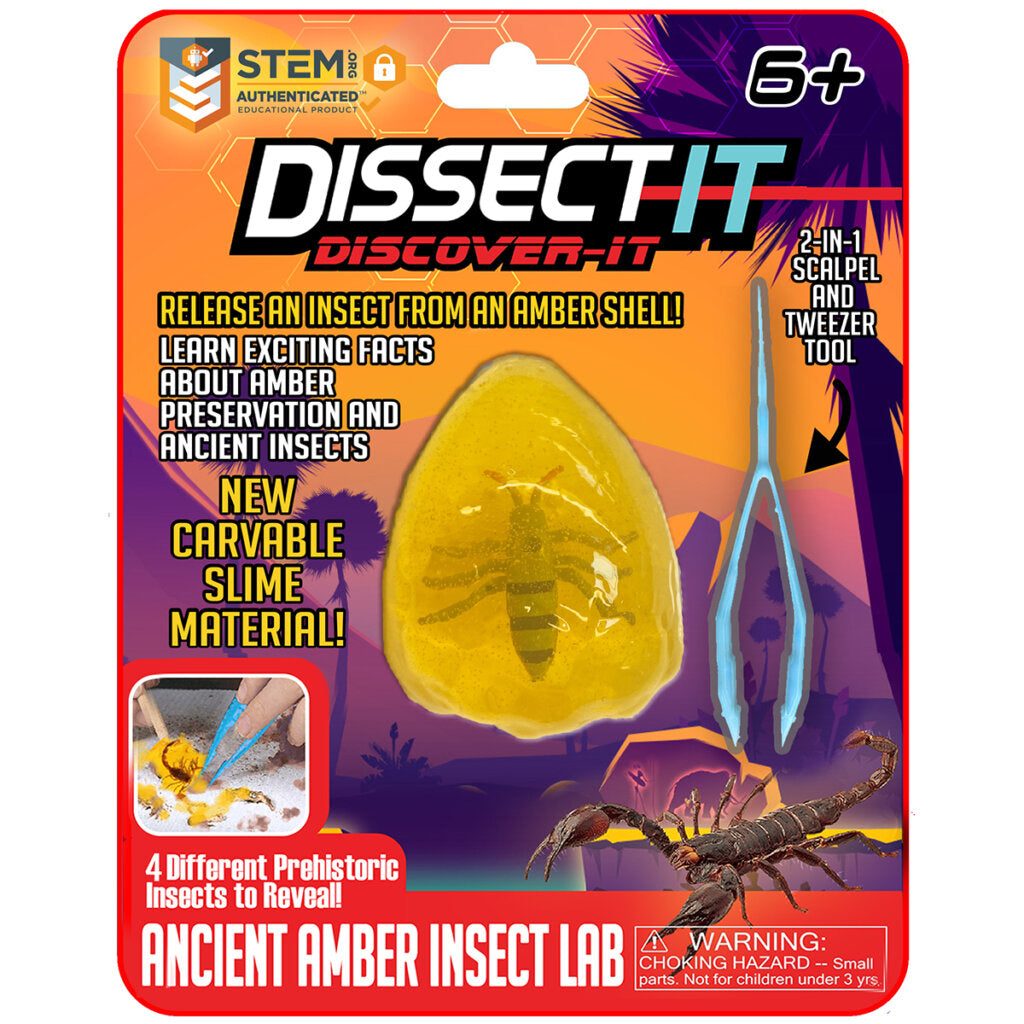 DISSECT IT BUTTERFLY OYSTER OWL INSECT