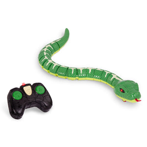 RC SNAKE