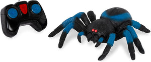 RC TARANTULA BLUE