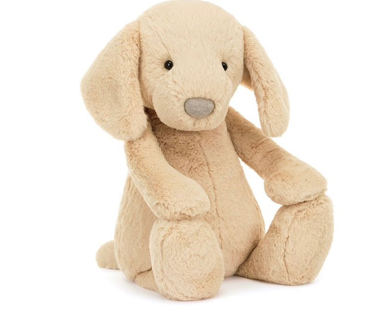 BASHFUL LUXE PUPPY ORLANDO BIG