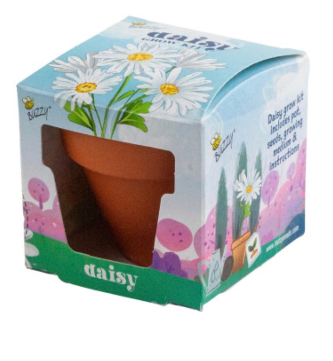 KIDS MINI GROW POT DAISY