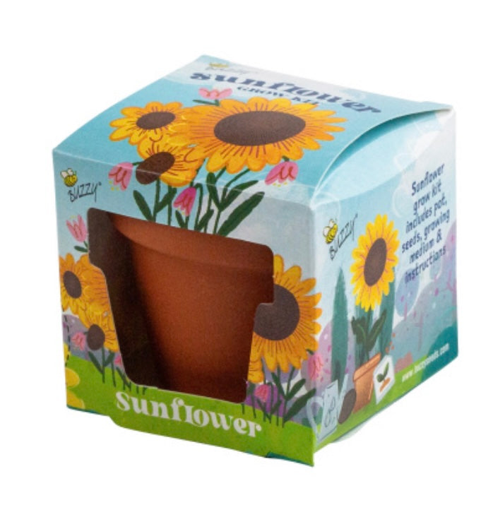 KIDS MINI GROW POT SUNFLOWER