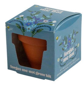 MINI GROW POT FIRGET ME NOT