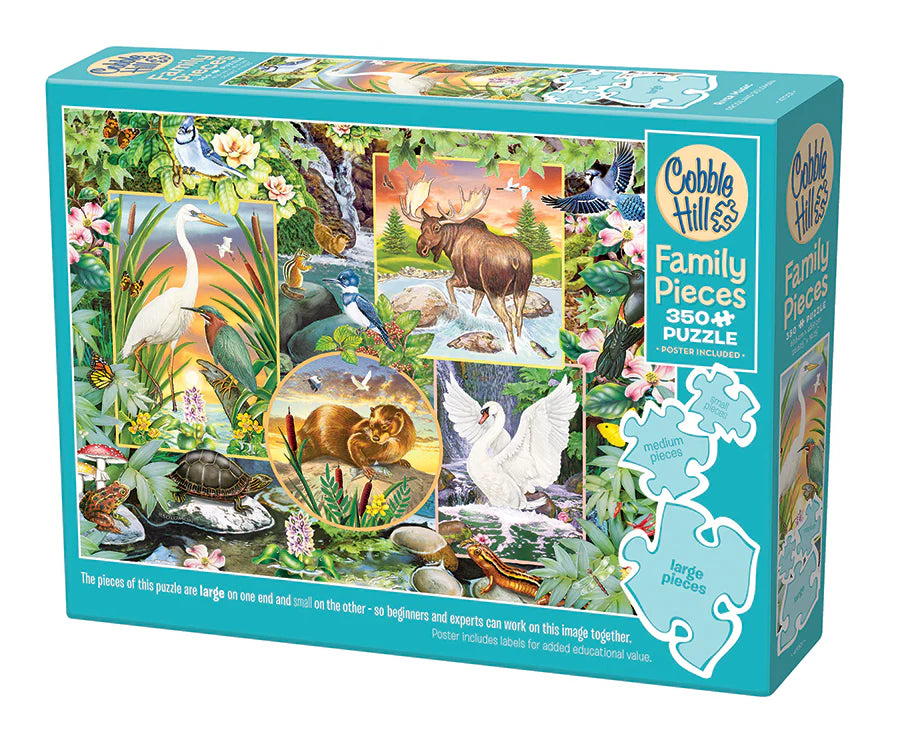 RIVER MAGIC FAMILY PUZZLE