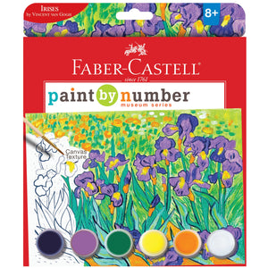 PAINT BY NUMBERS IRISES