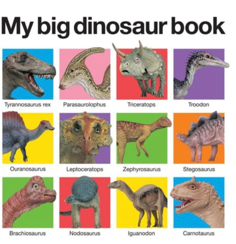 MY BIG DINOSAUR BOOK